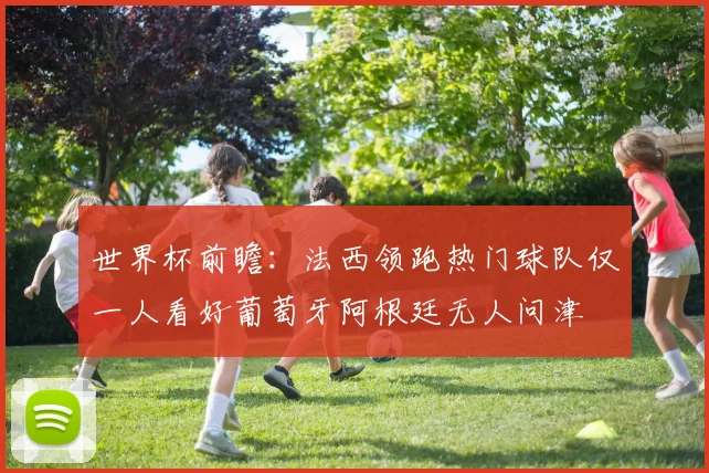 世界杯前瞻：法西领跑热门球队仅一人看好葡萄牙阿根廷无人问津